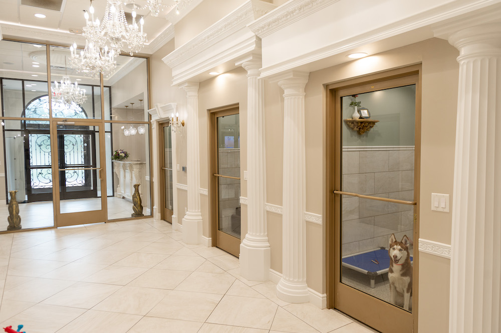 K9 Resorts - Malvern