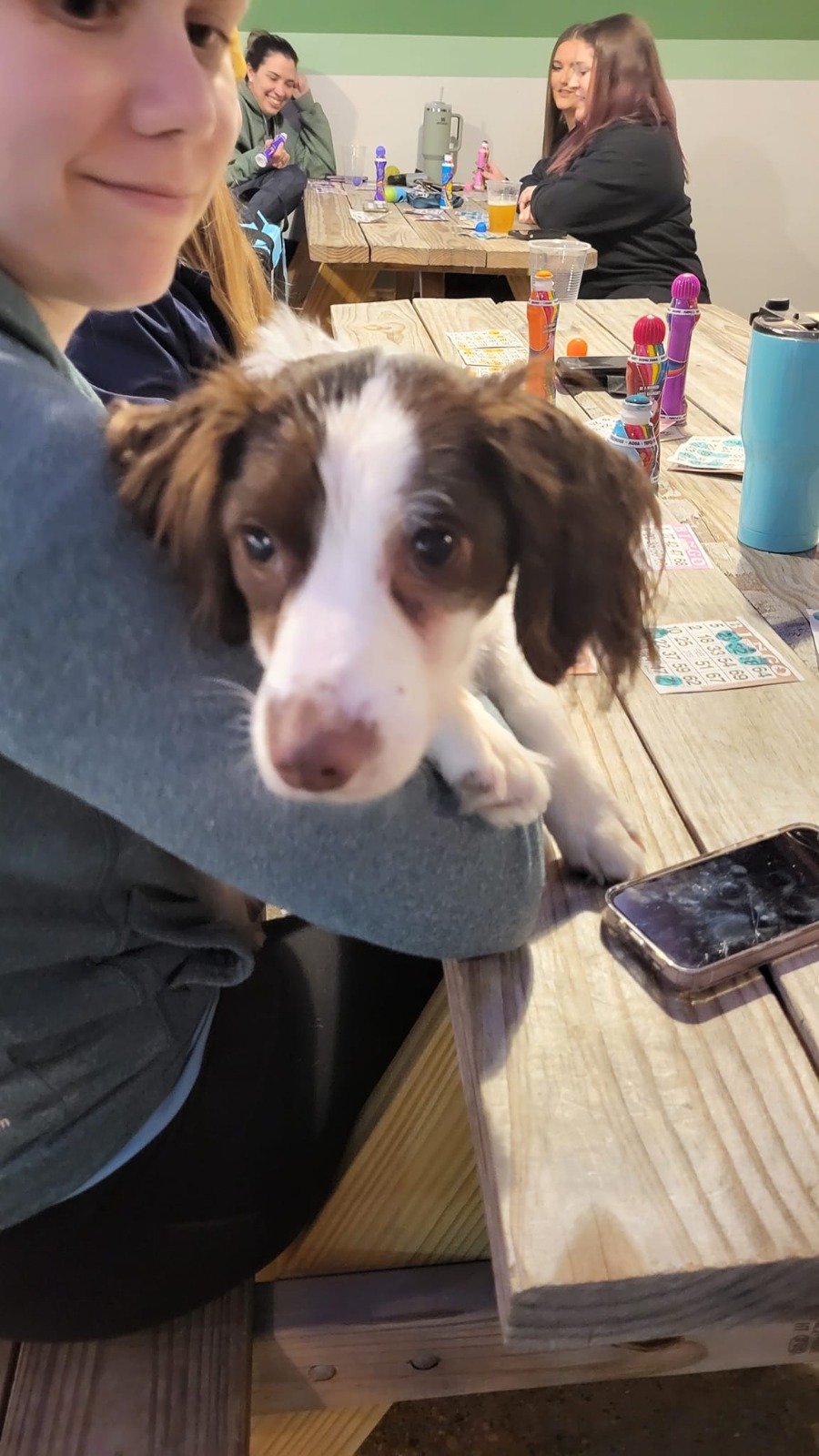 The Bark Park & Patio