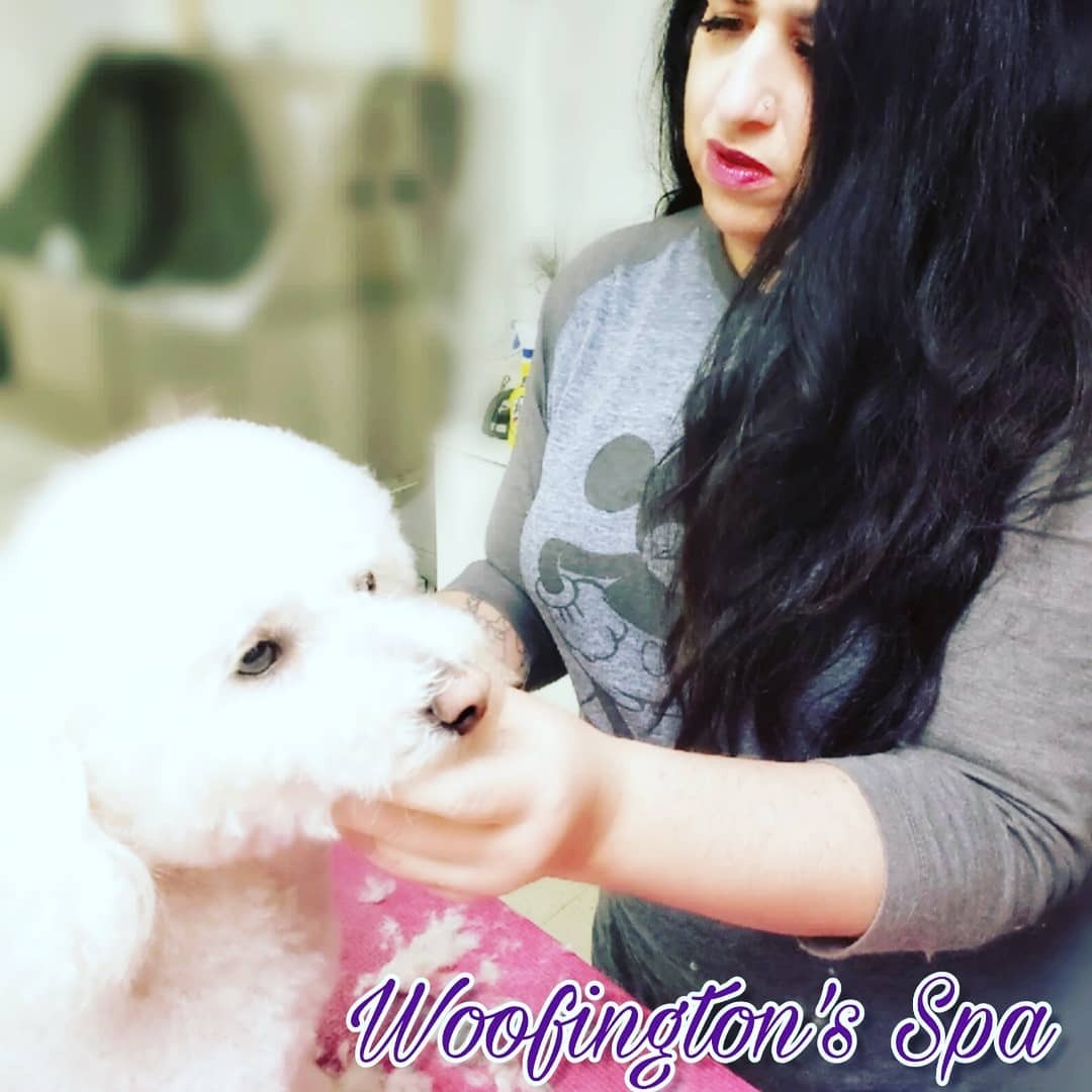 Woofingtons Spa and Boutique