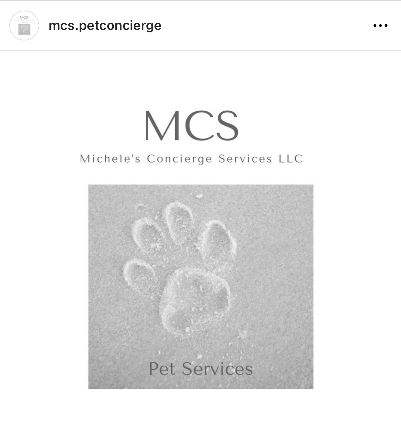 MCS Michele’s Concierge Services LLC