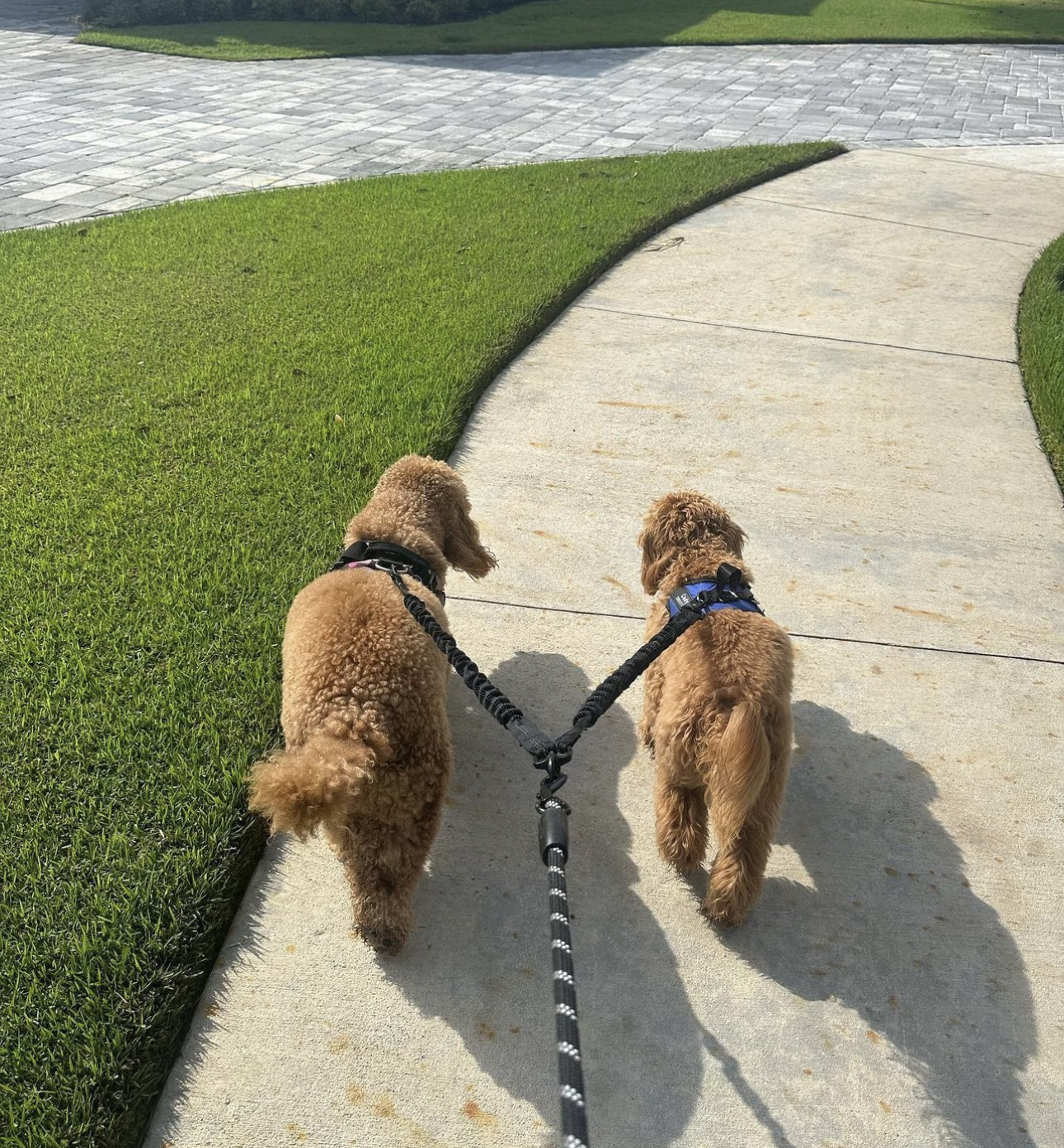 MCS Michele’s Concierge Services LLC