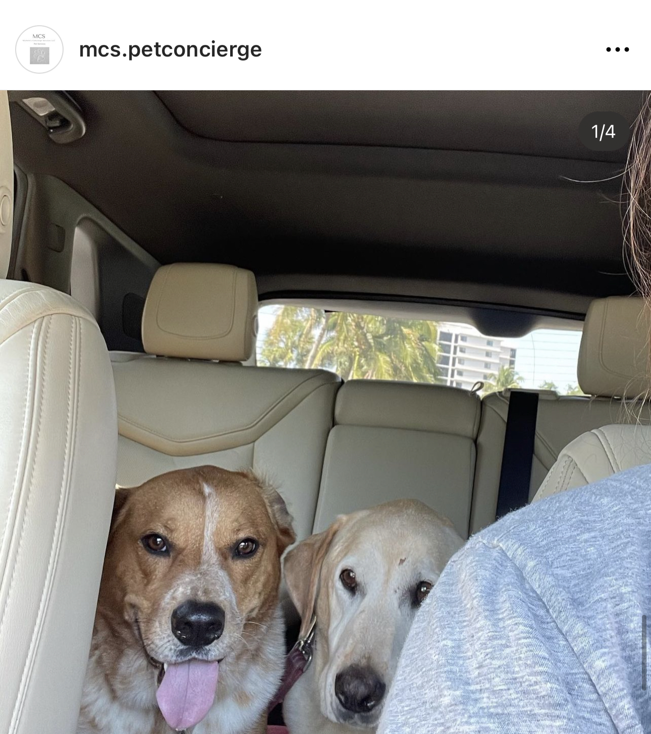 MCS Michele’s Concierge Services LLC