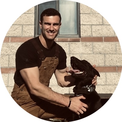 Traction Dog Training Club