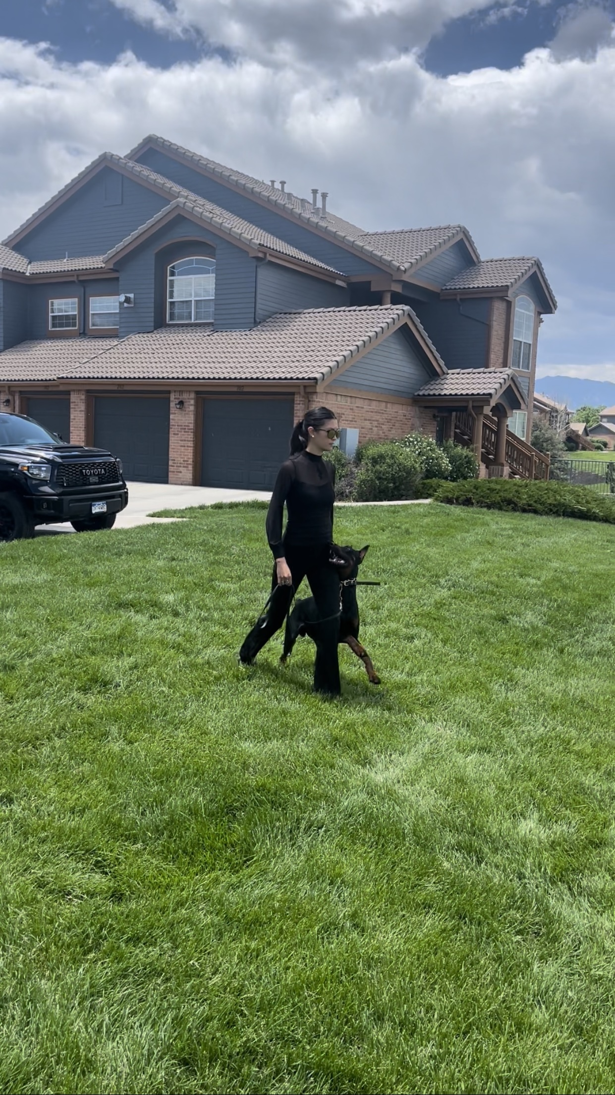 Traction Dog Training Club