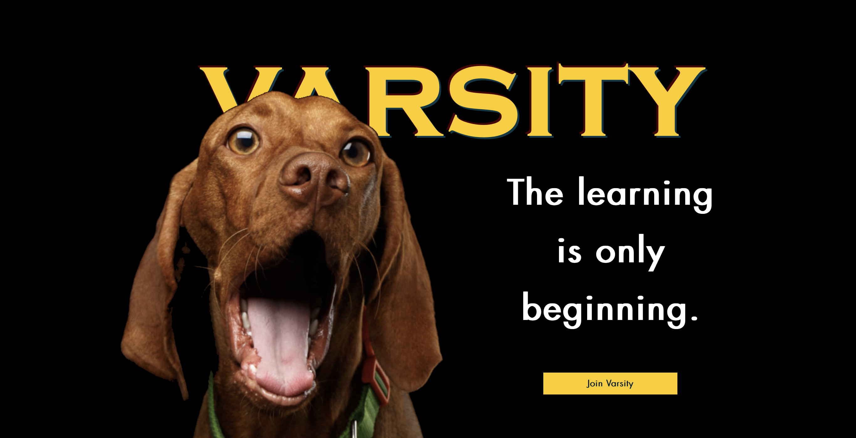 Traction Dog Training Club