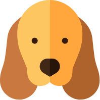 Dog 🐶🐕 park 🏞️