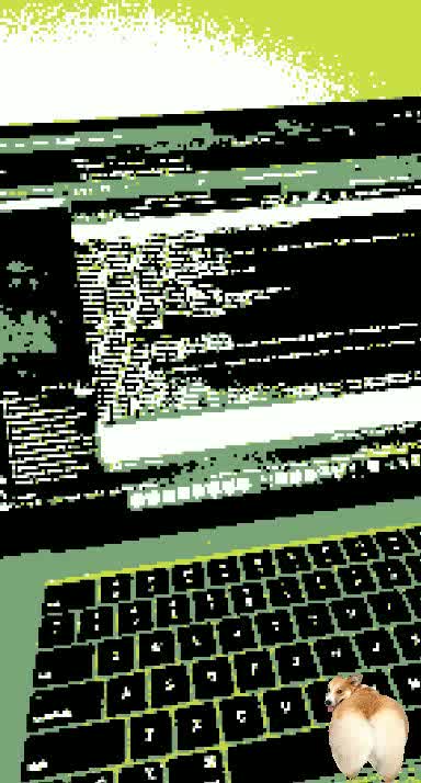 English Montreal School Board