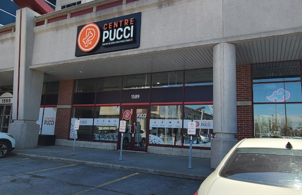 Parc-canin Philippe-Laheurte