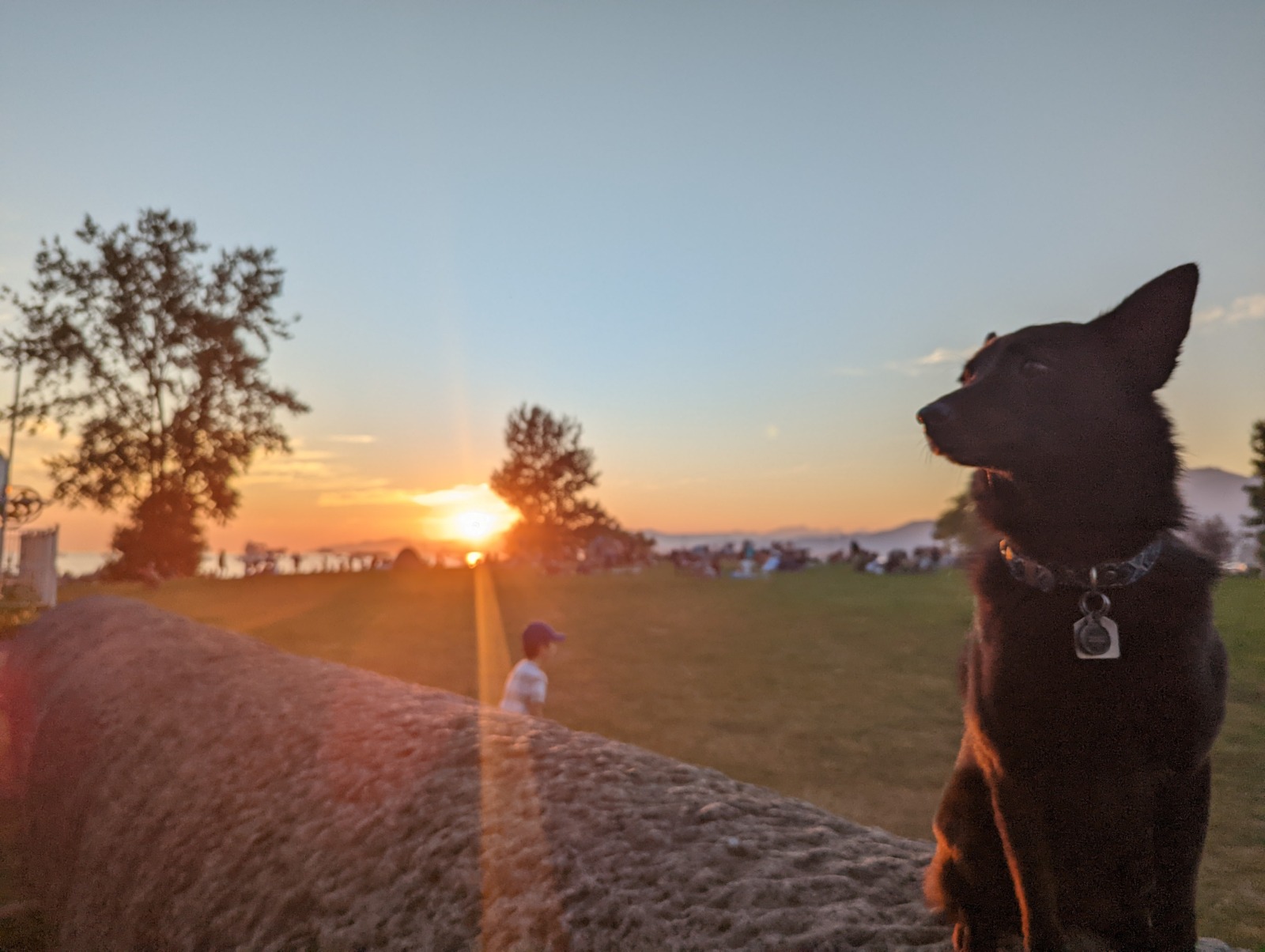 Hadden Park Dog Beach