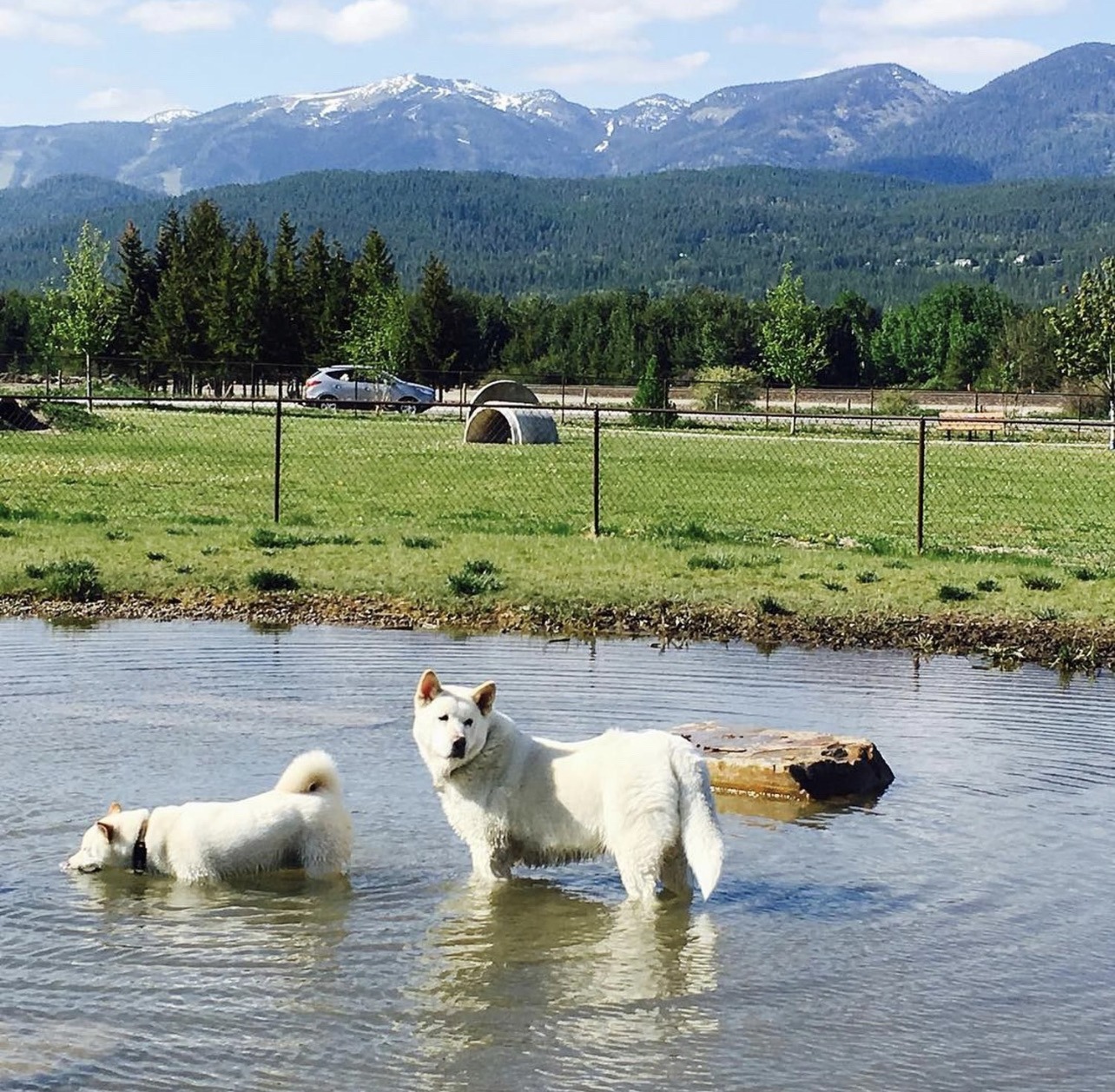 Hugh Rogers Wag Park