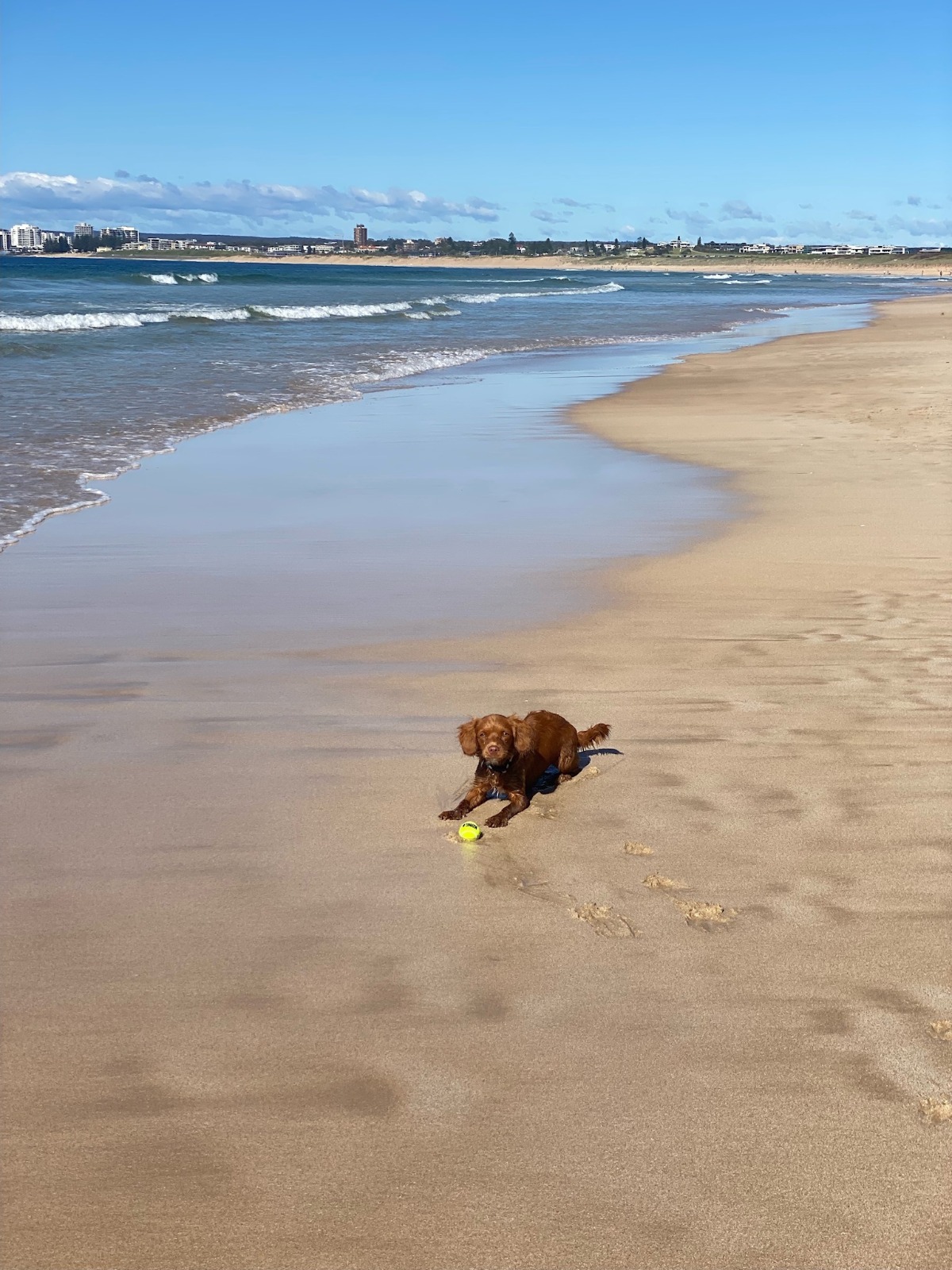 Greenhills Dog Beach