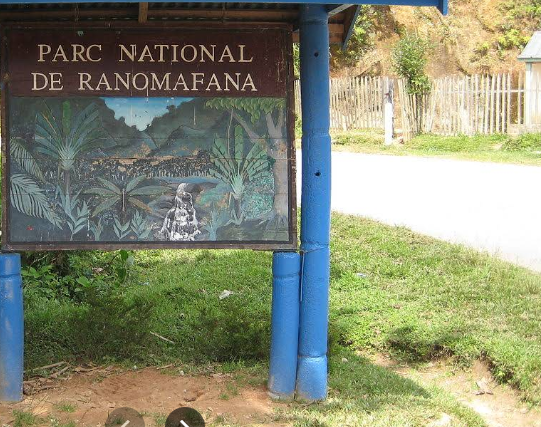 Ranomafana National Park