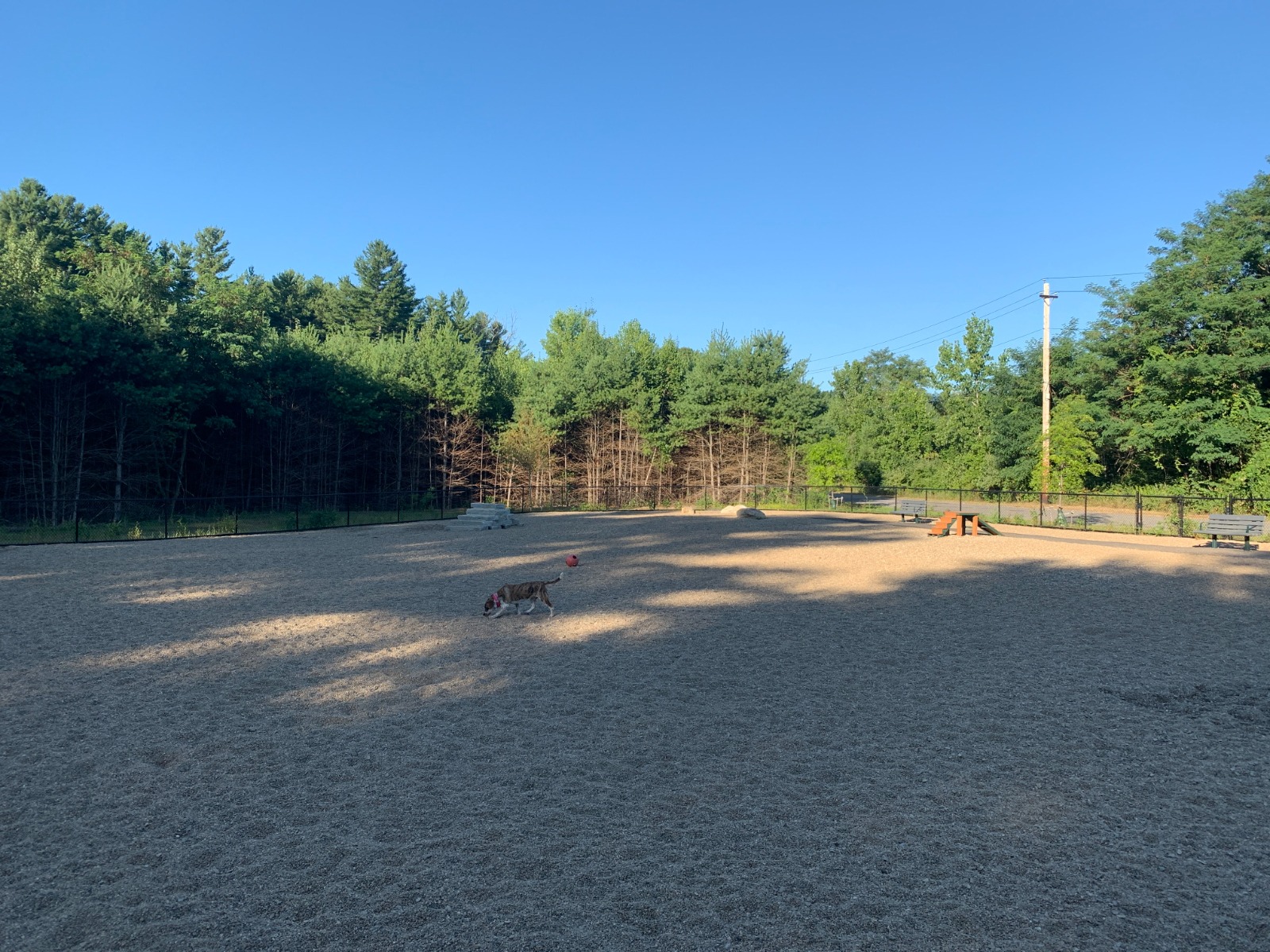 Hopkinton Dog Park