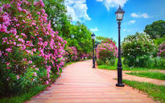 Cygnett park BL jaipur