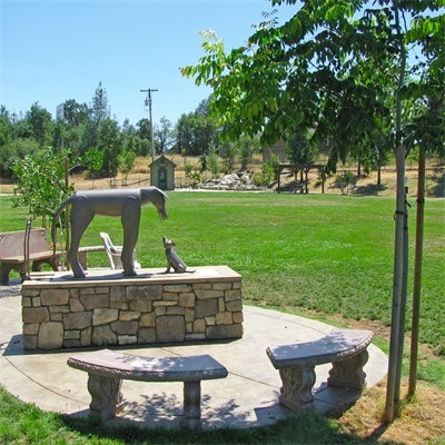 Ashley Off Leash Dog Park