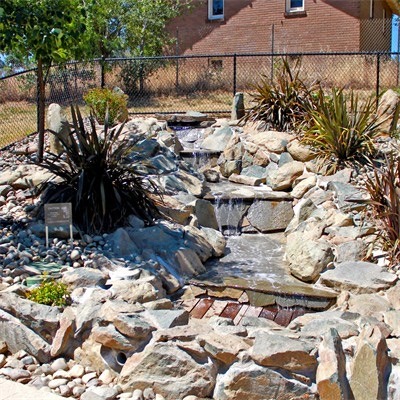 Ashley Off Leash Dog Park