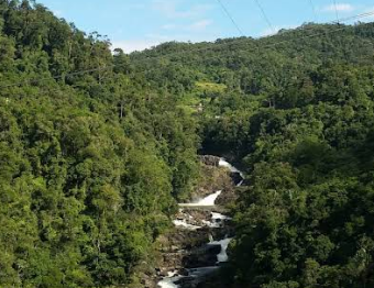 Ranomafana National Park