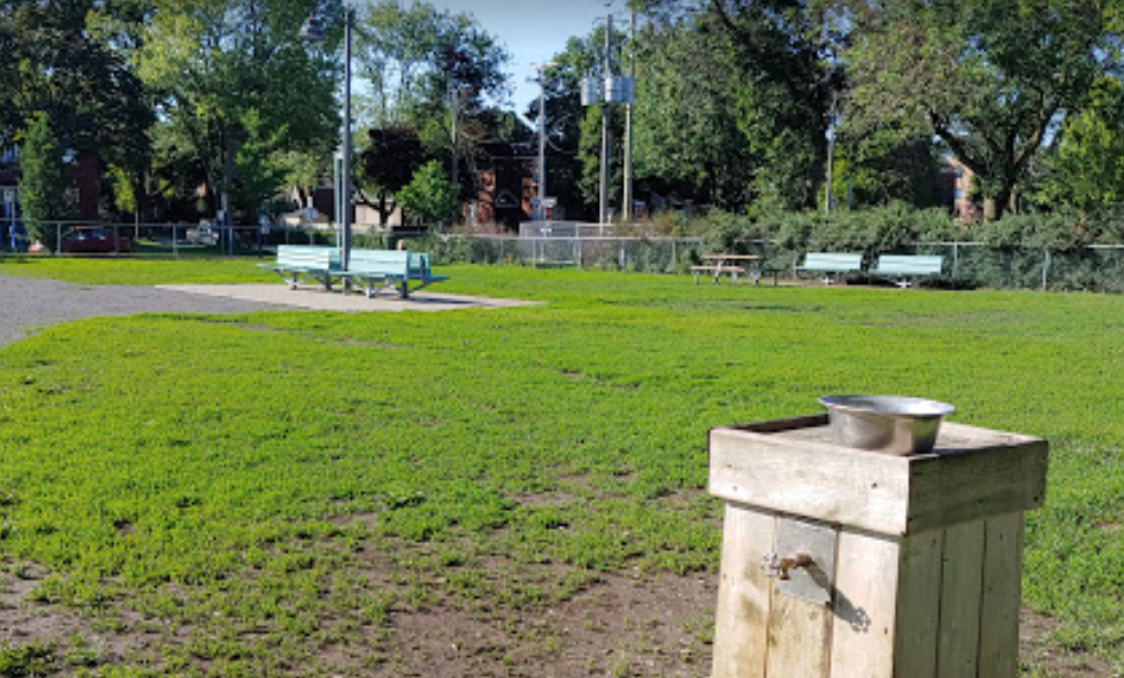 Parc à chiens du parc Gohier