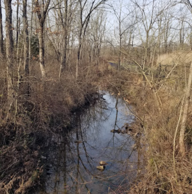 Great Blue Heron Park