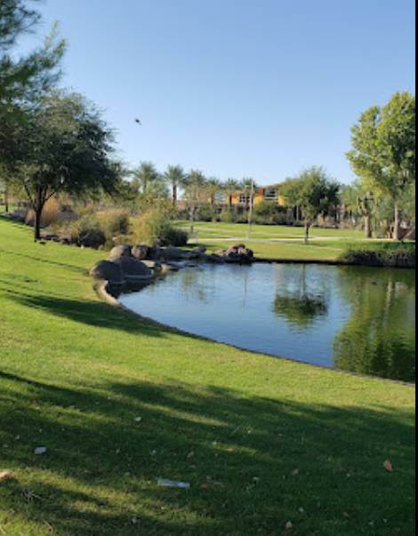 Eastmark Great Dog Park