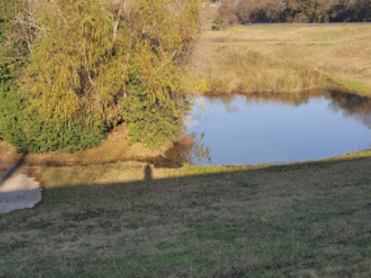 Great Northern Dog Park