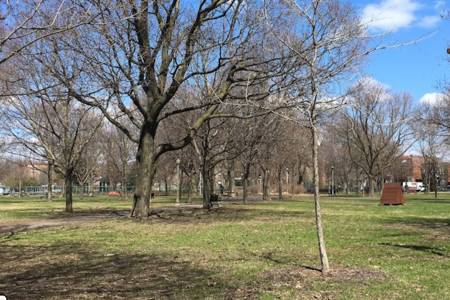 Parc à chiens du parc La Fontaine