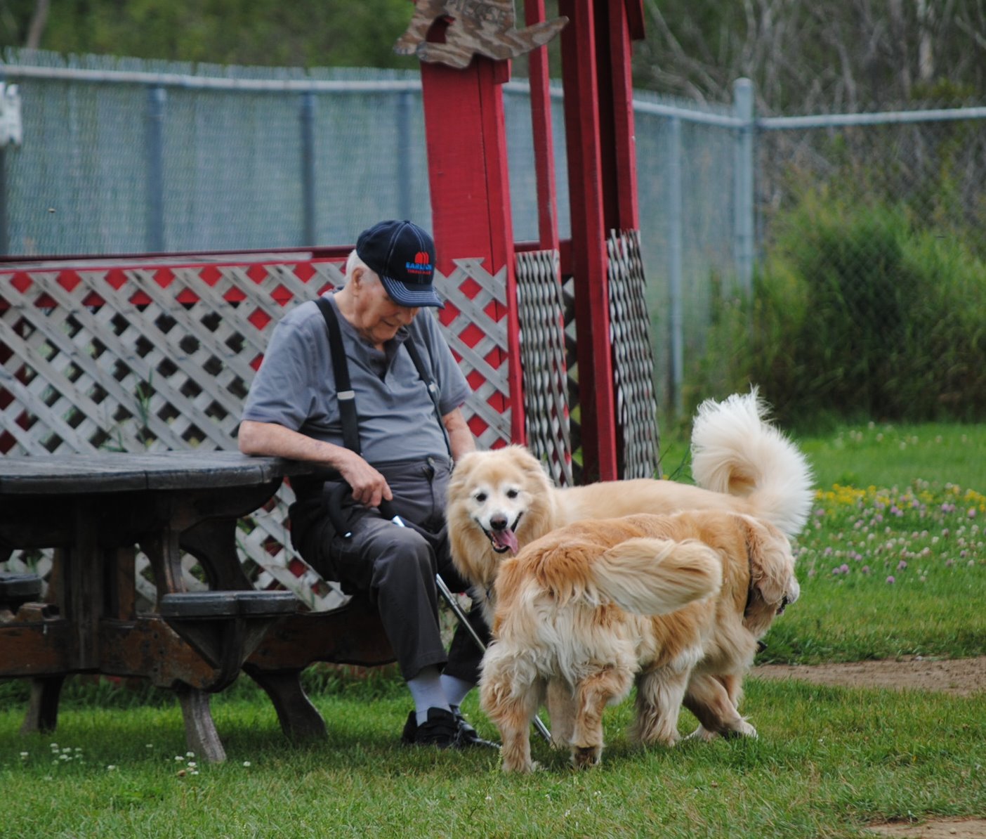 The Riverview Dog Park