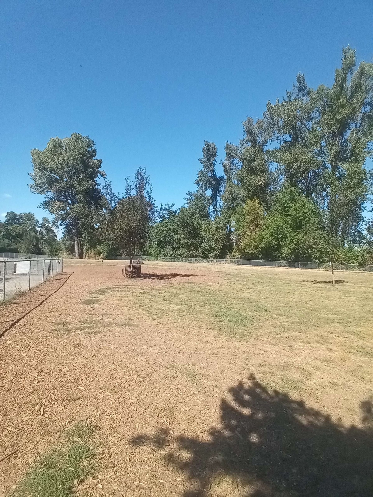 Dallas Central Bark Park