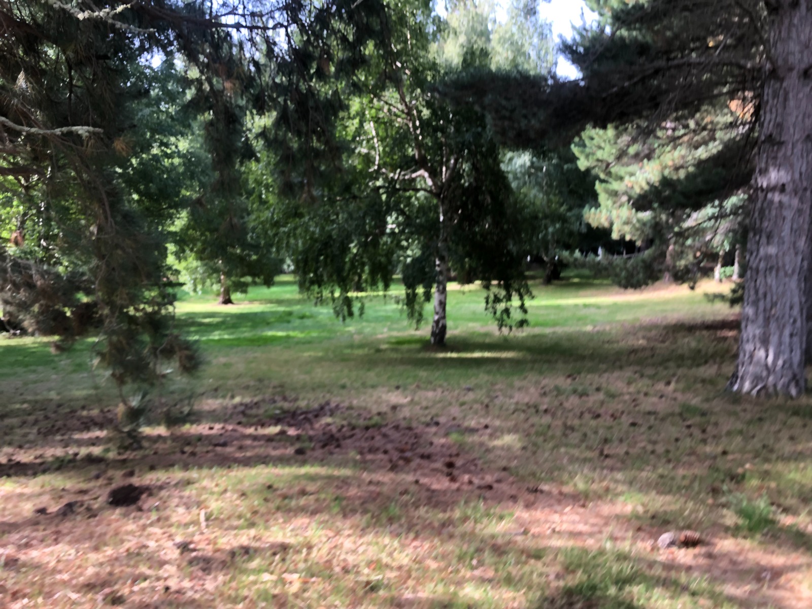 Lake Tekapo Regional Park Dog Park