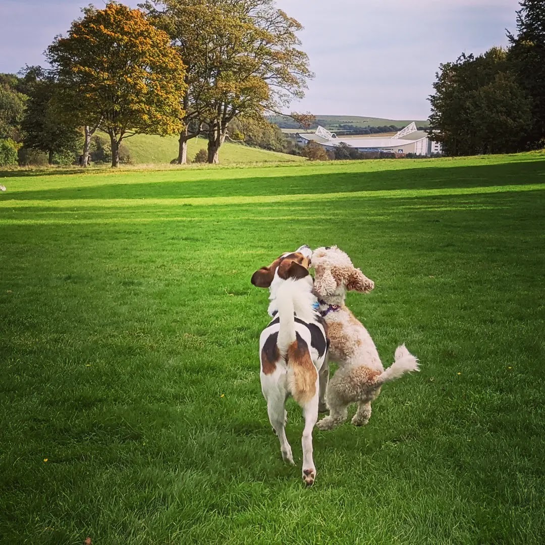 Stanmer Park Nature Reserve