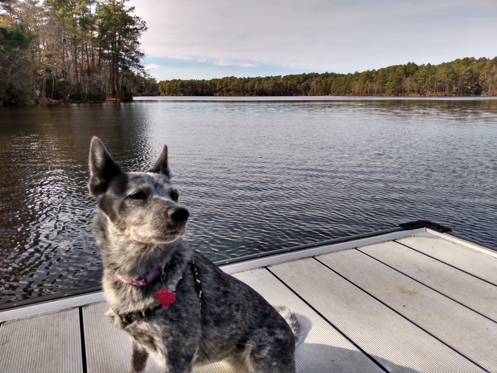 Reservoir Park, Southern Pines