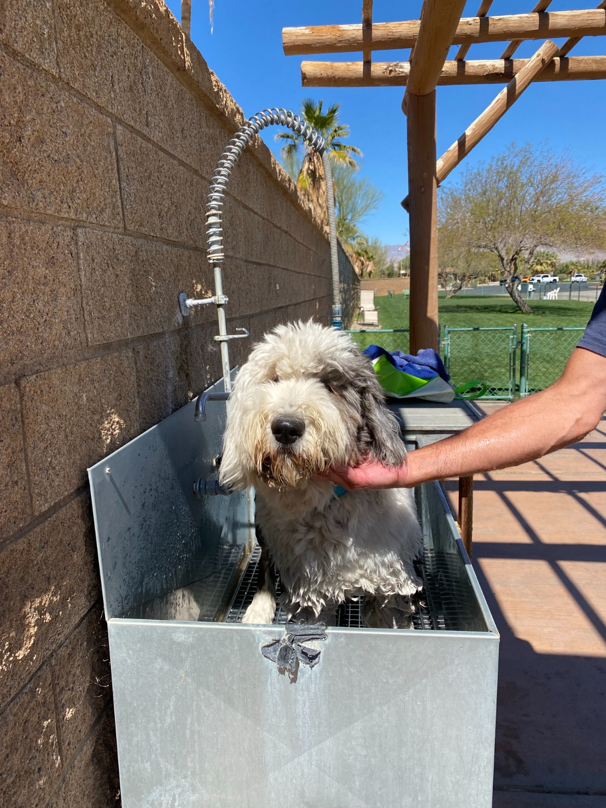 The Springs at Borrego RV Resort