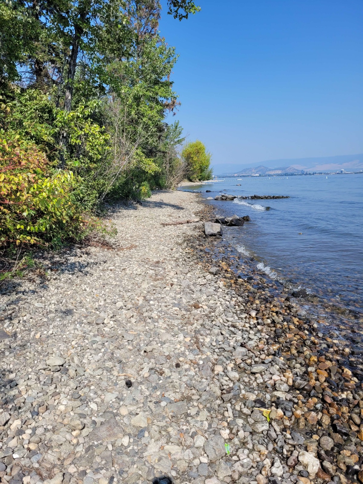 Kalamoir Regional Park, Dog Friendly Beach