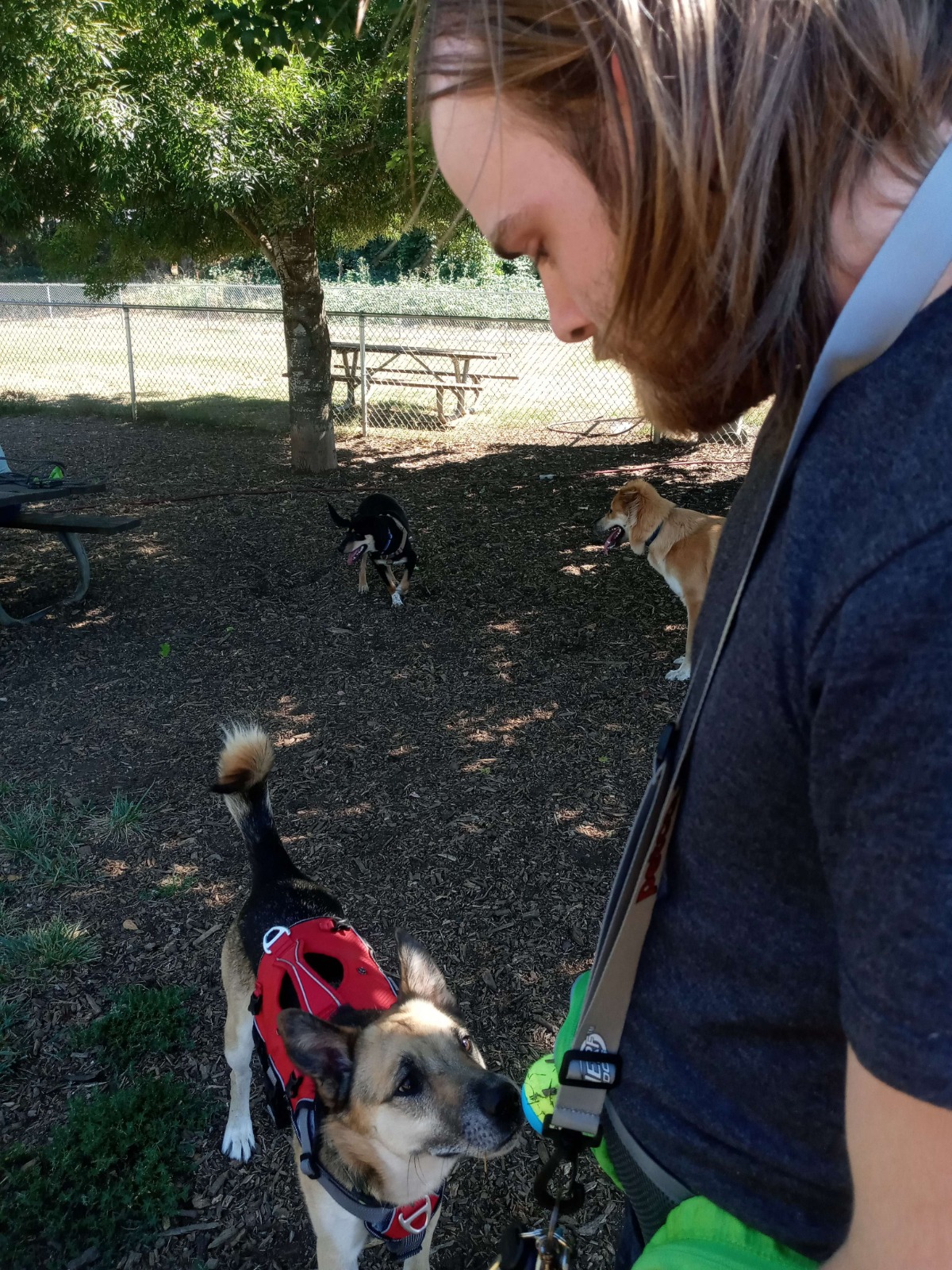 Dallas Central Bark Park