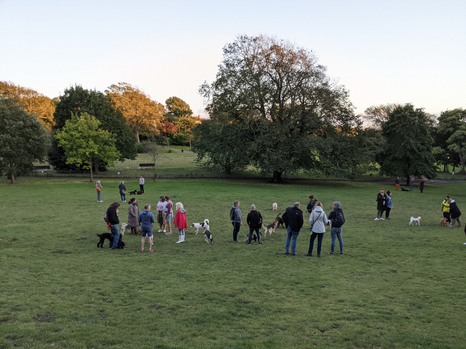 Queen's Park, Brighton - Dog Area