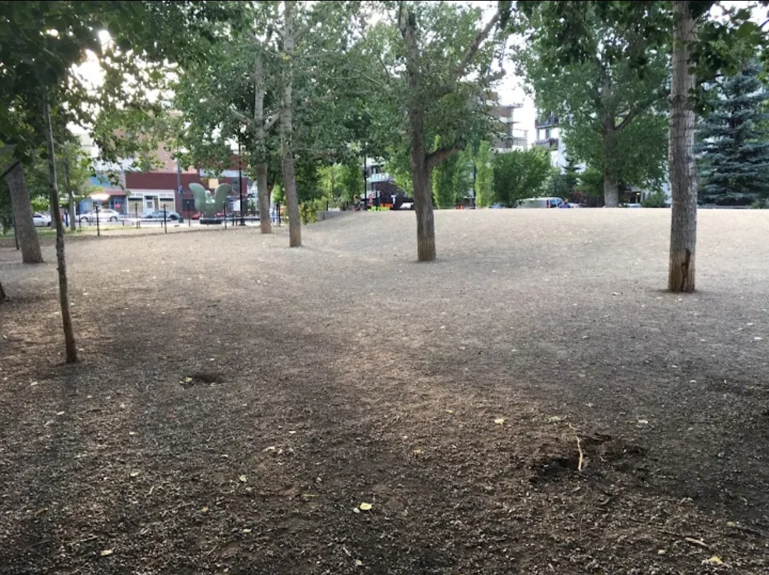 Connaught Off-Leash Dog Park