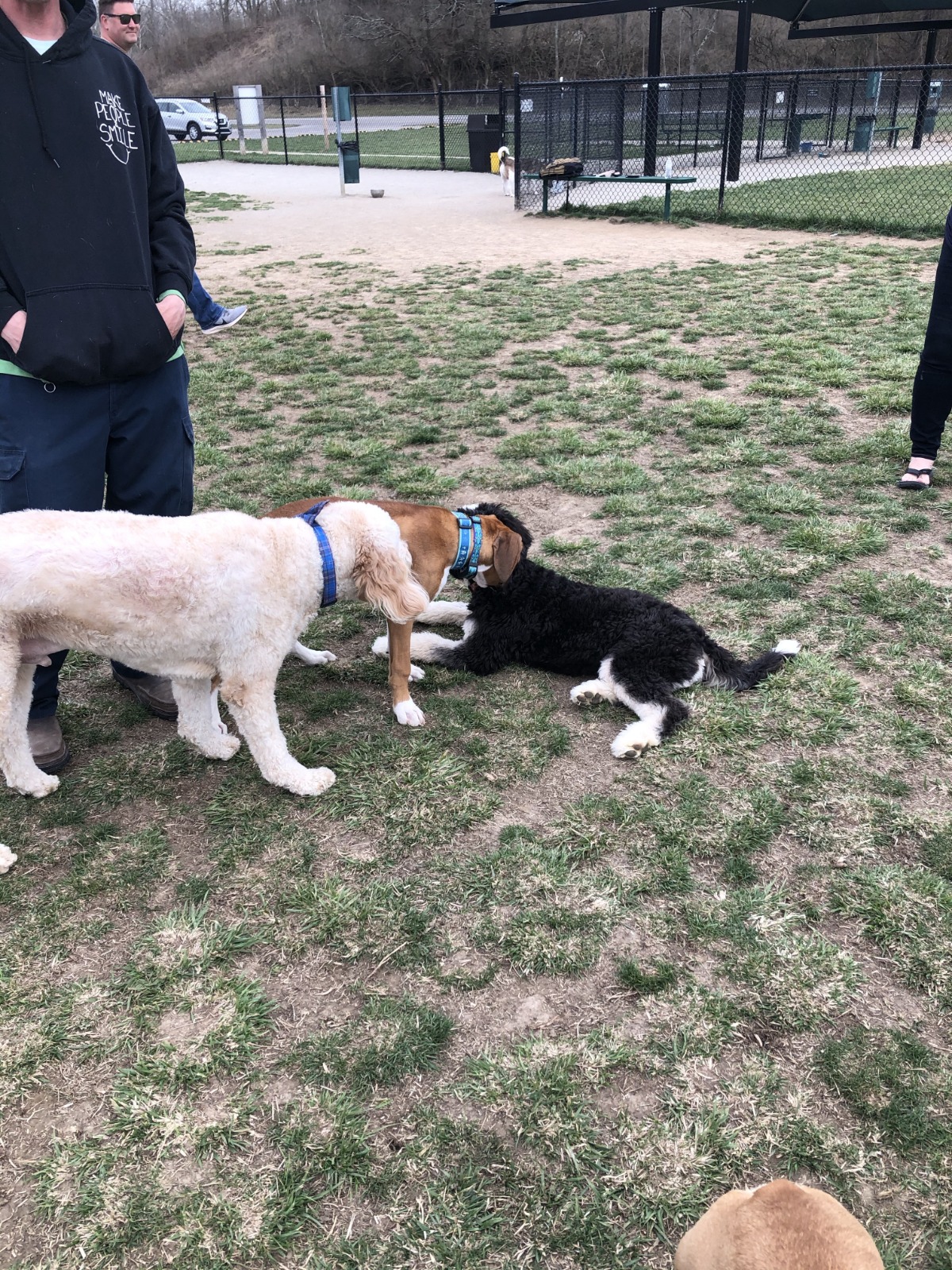 Hazel Woods Dog Park