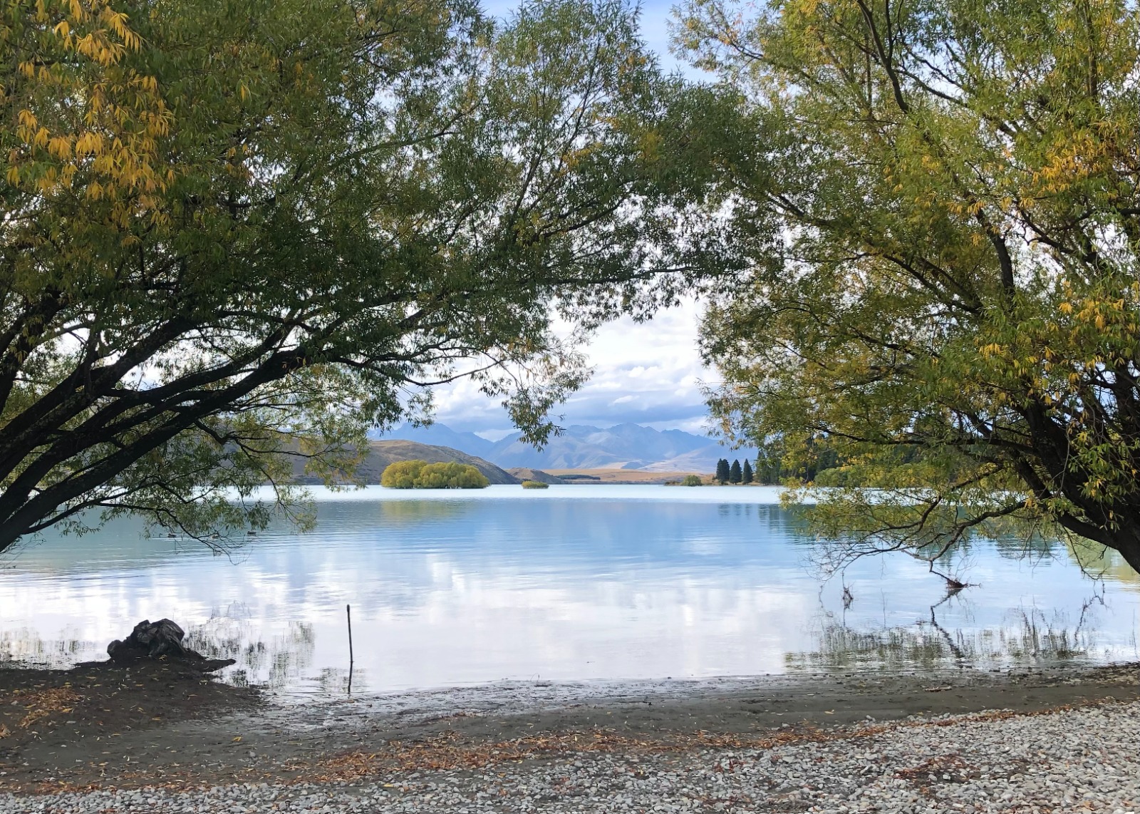 Lake Tekapo Regional Park Dog Park