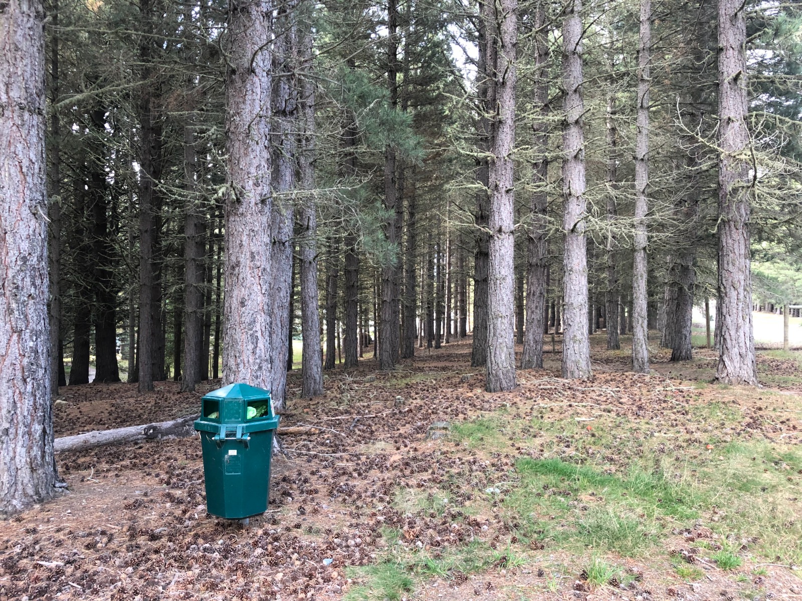 Lake Tekapo Regional Park Dog Park
