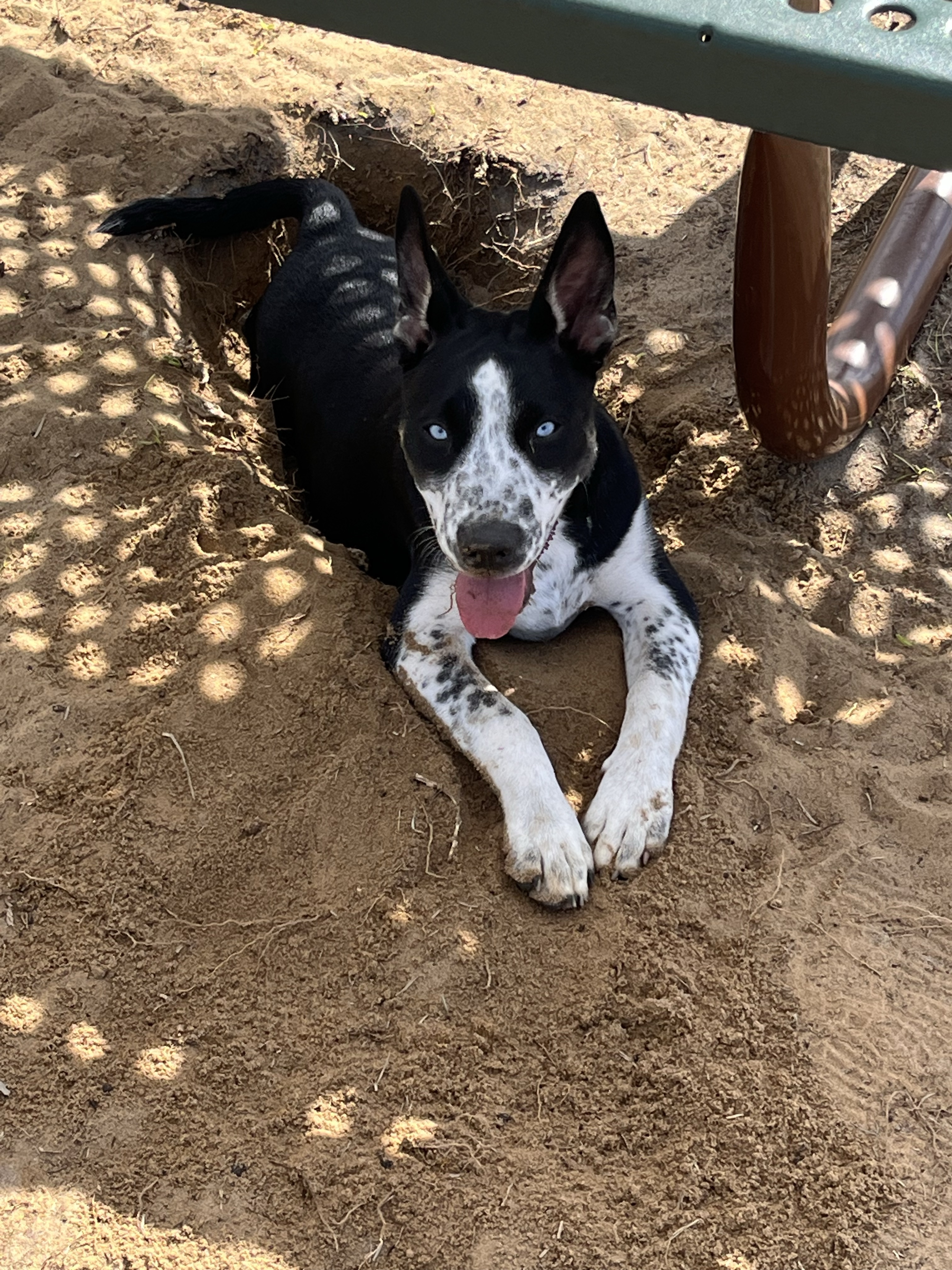 Northeast Regional Park