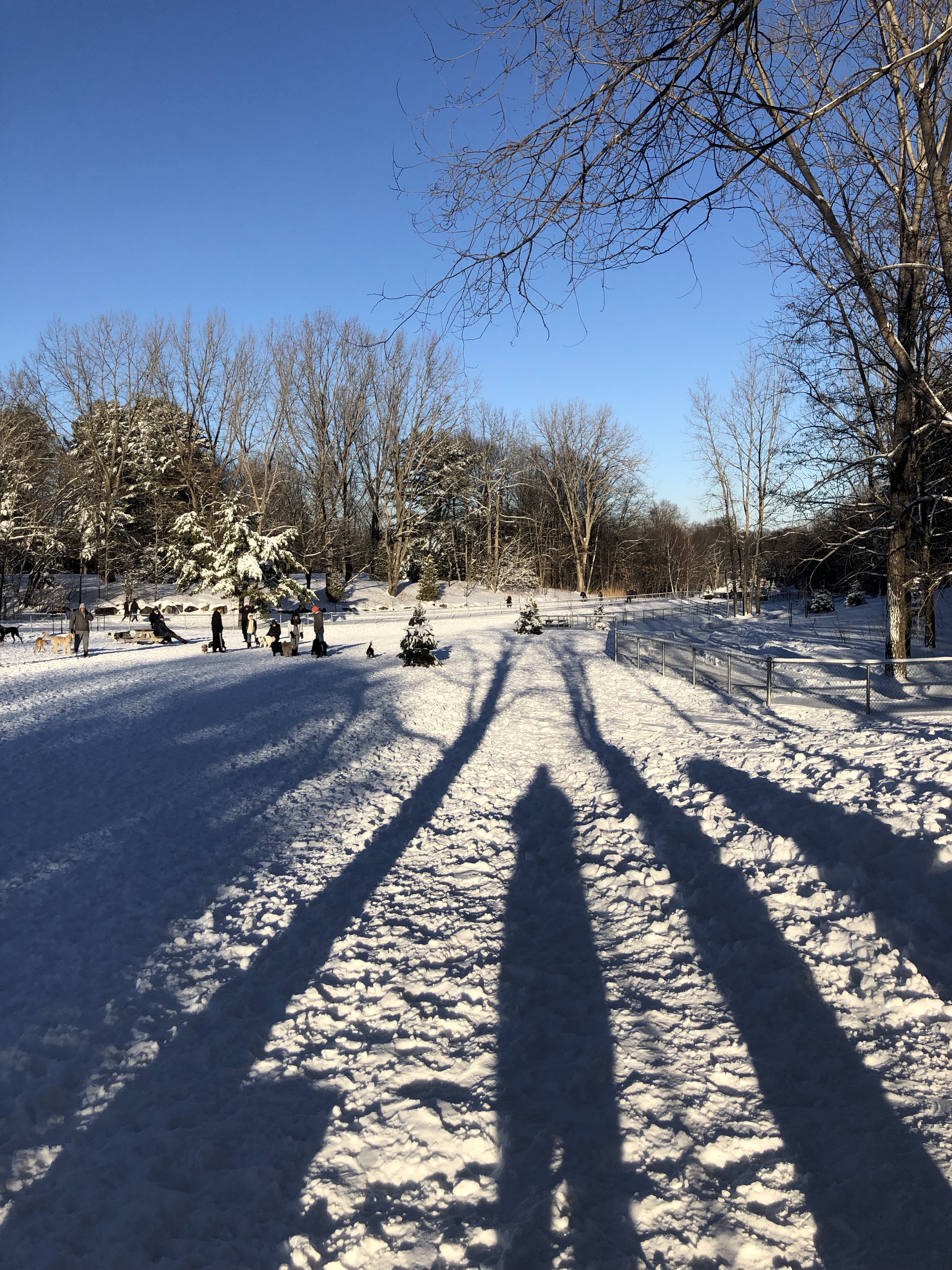 Parc-Nature Harwood Dog Park