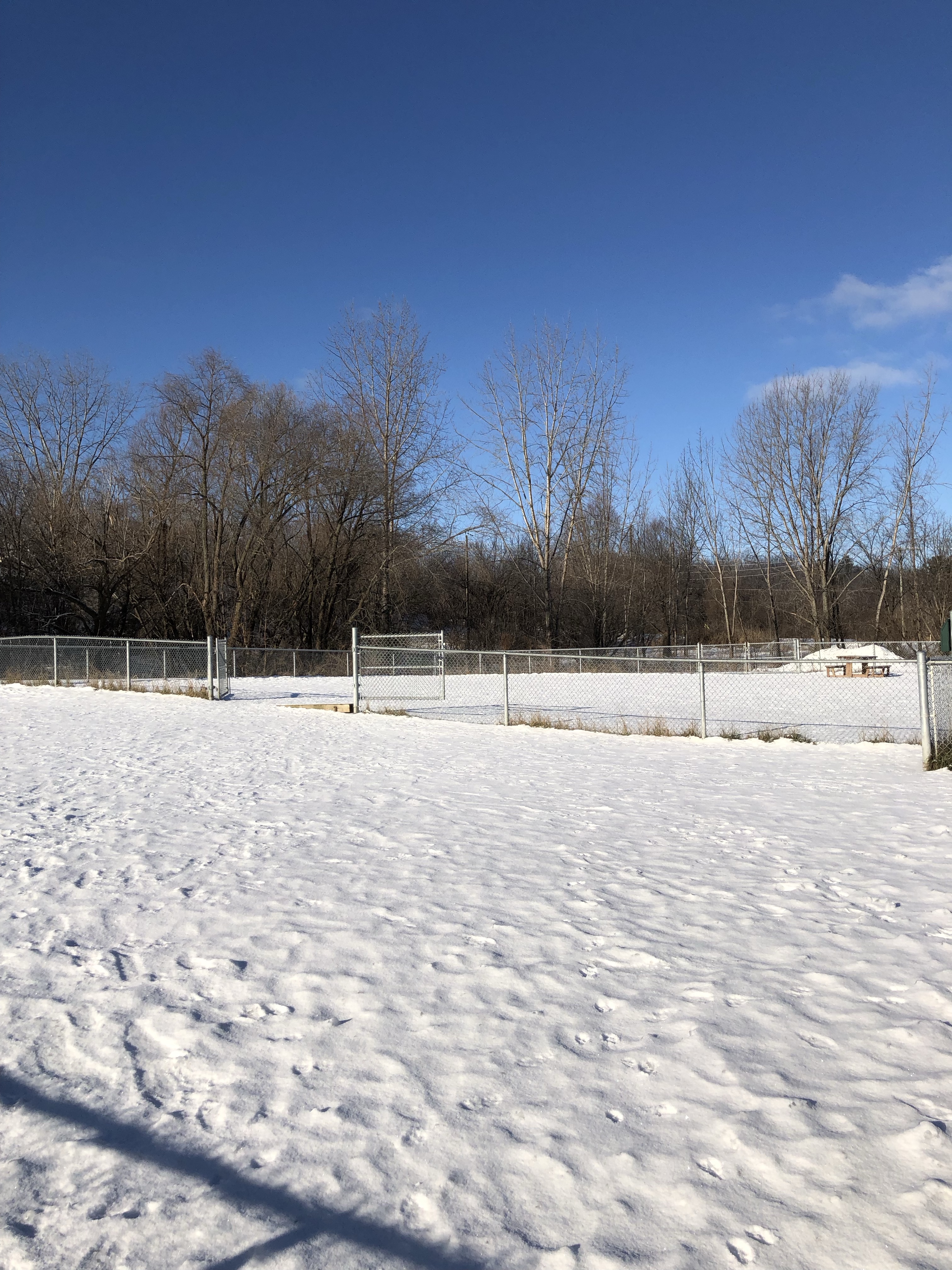 Global Pet Foods Dog Park