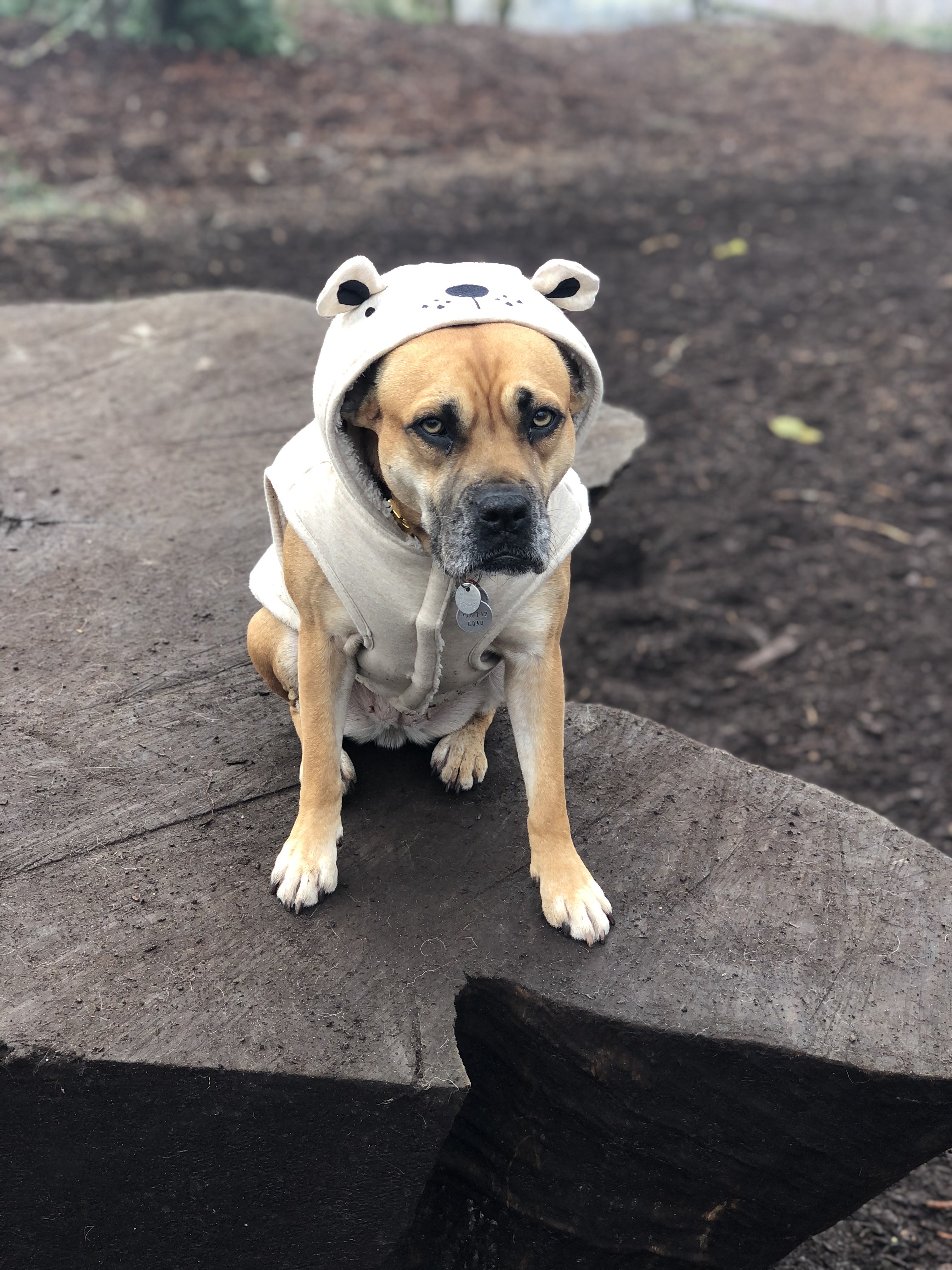 Everett Crowley Park