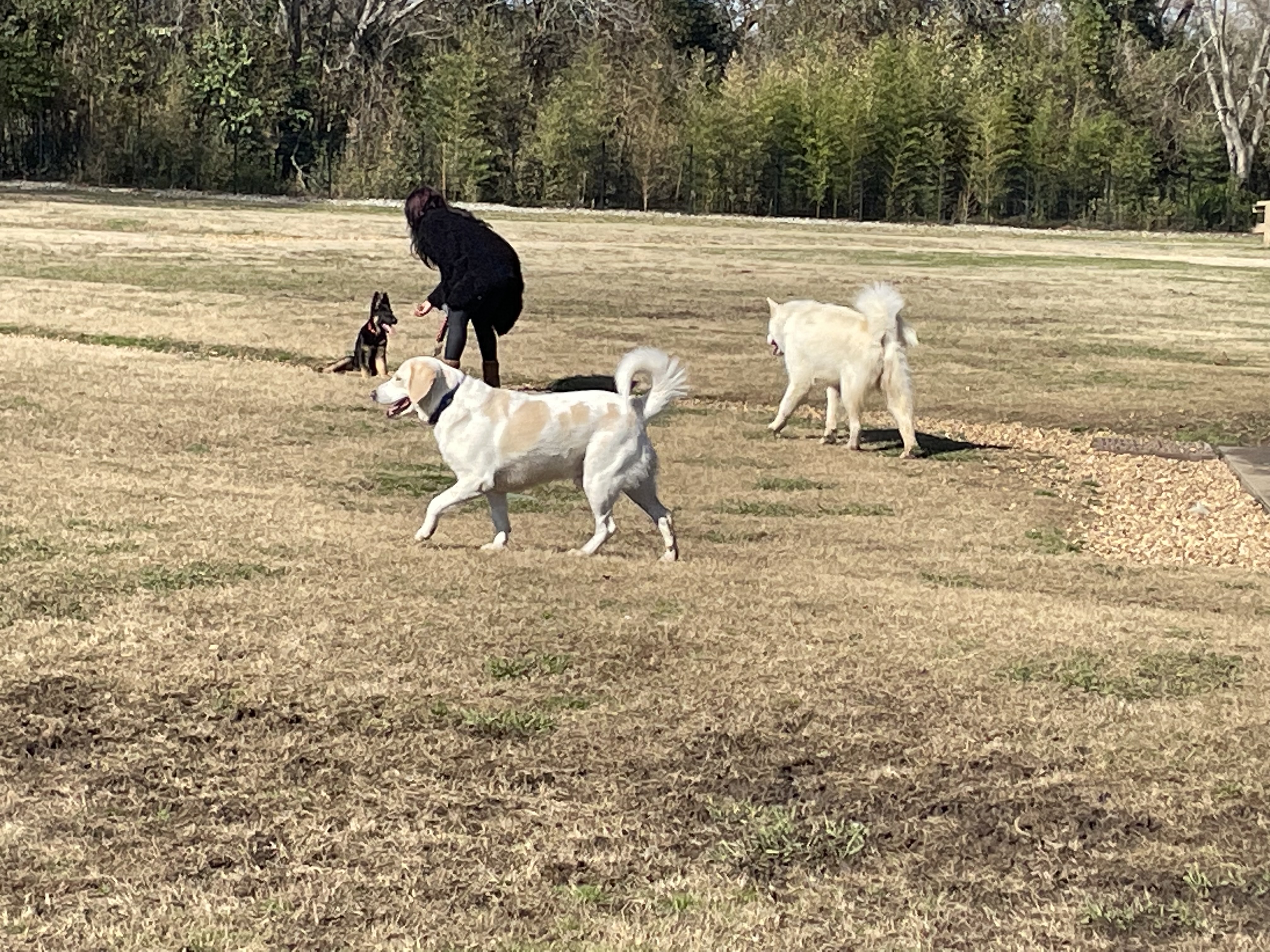 Hannah Daye Ridling Bark Park
