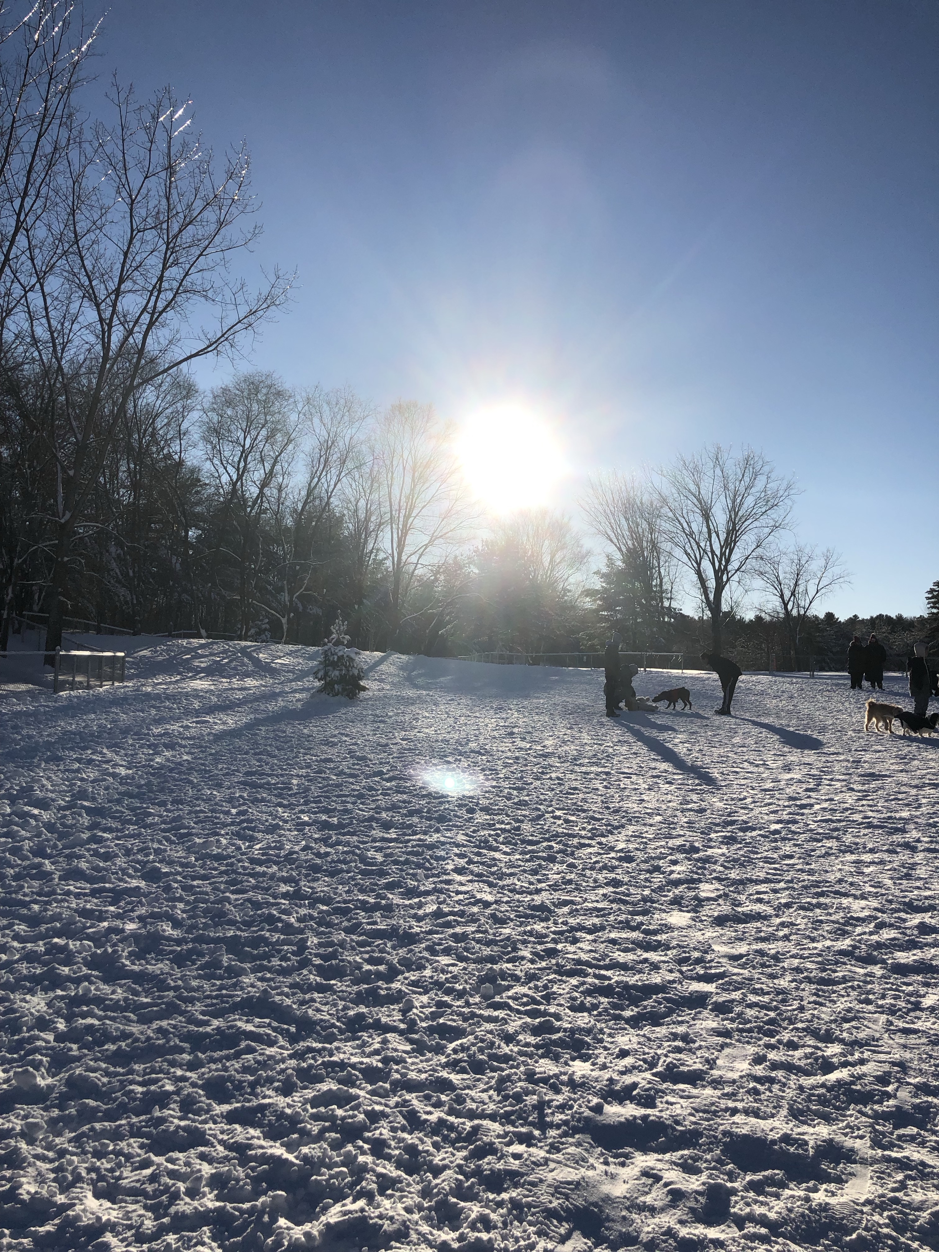 Parc-Nature Harwood Dog Park