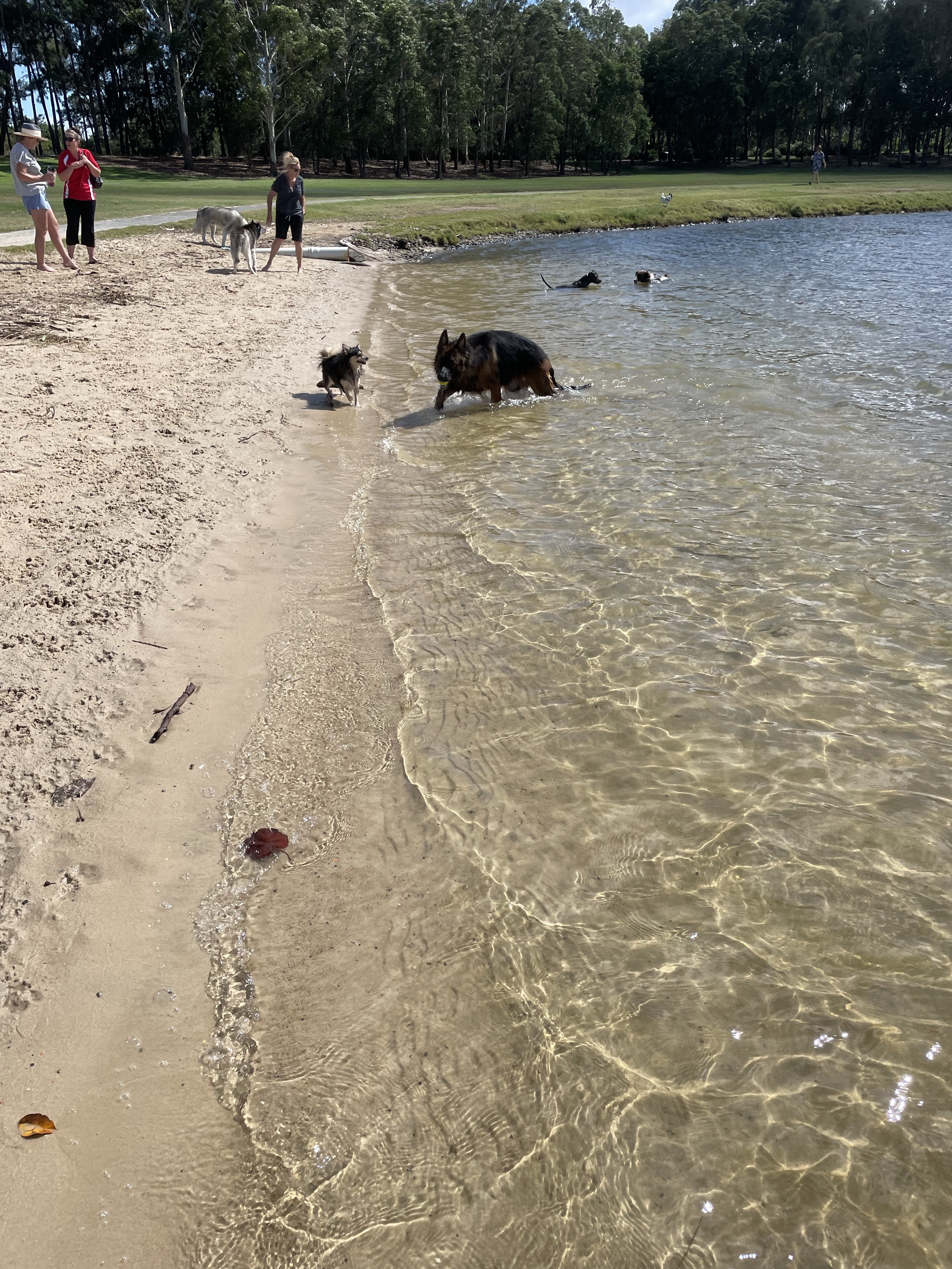 Cabana Offleash Dog Area