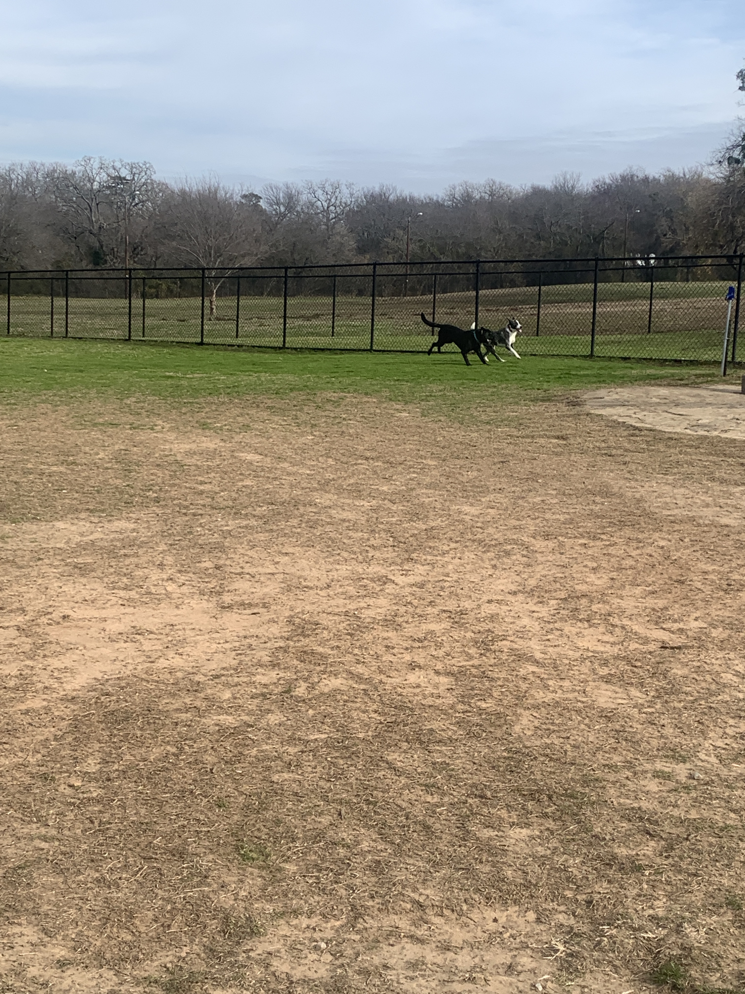 Fairview Park Dog Park