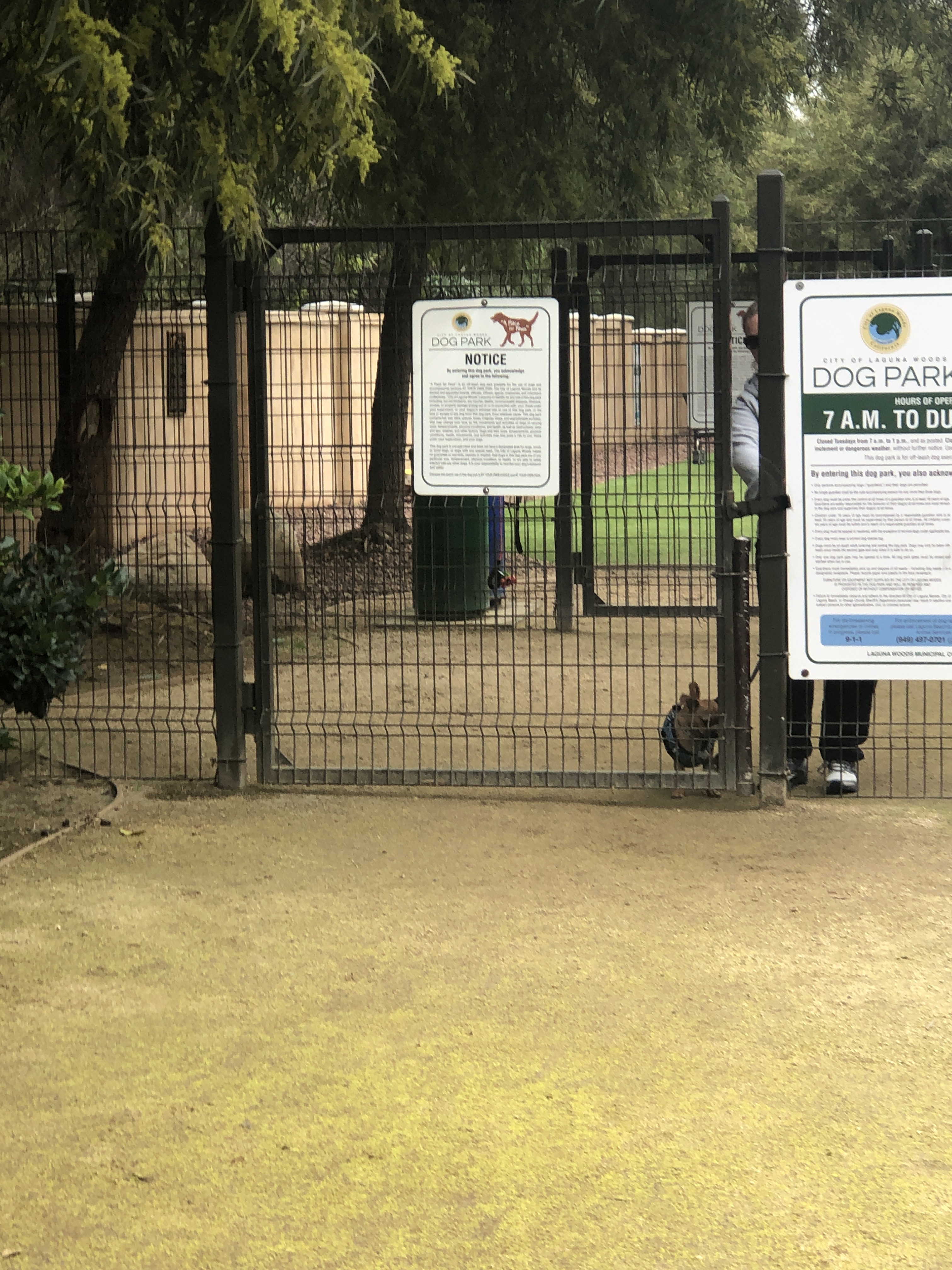 Laguna Woods Dog Park