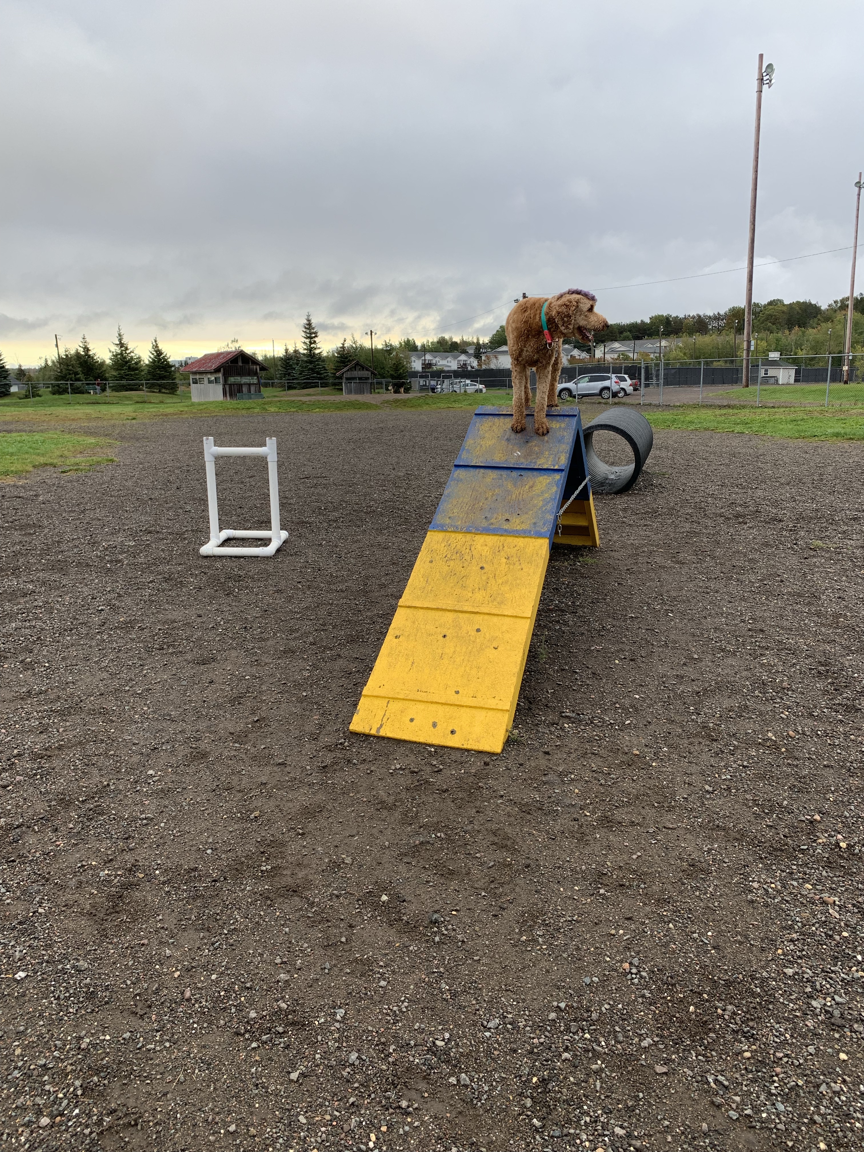 Isaac's Run Dog Park