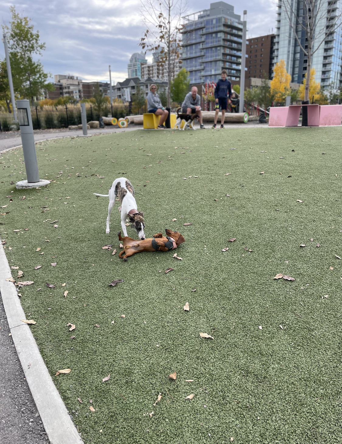 EV Dog Park